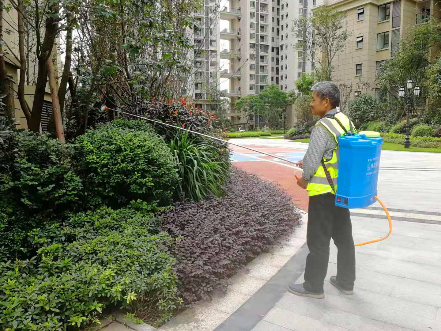 绿化养护3